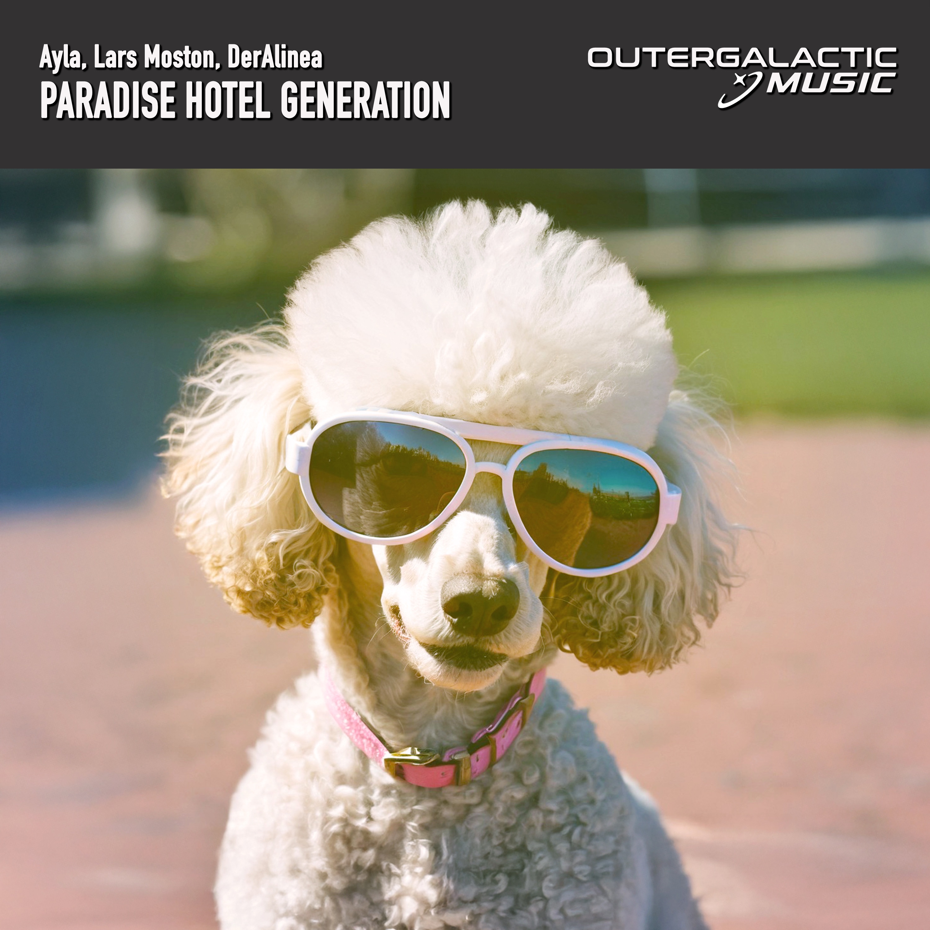 Paradise Hotel Generation - Single album cover
