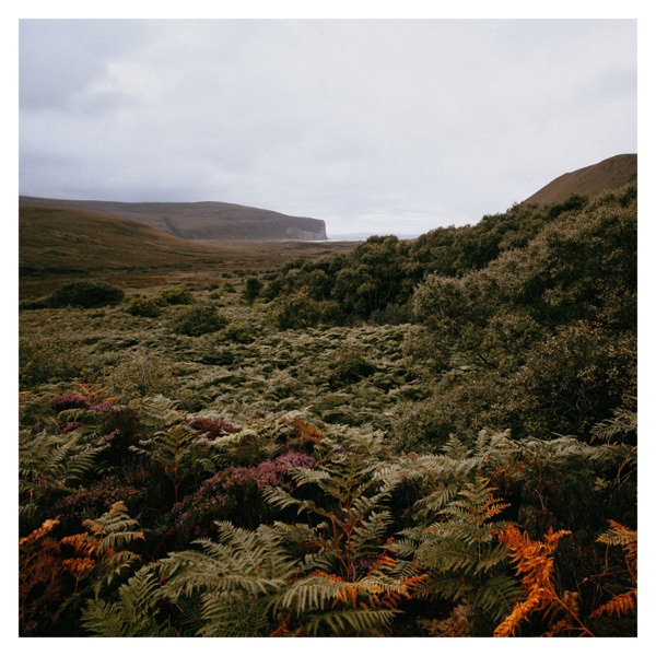 Berriedale - EP album cover