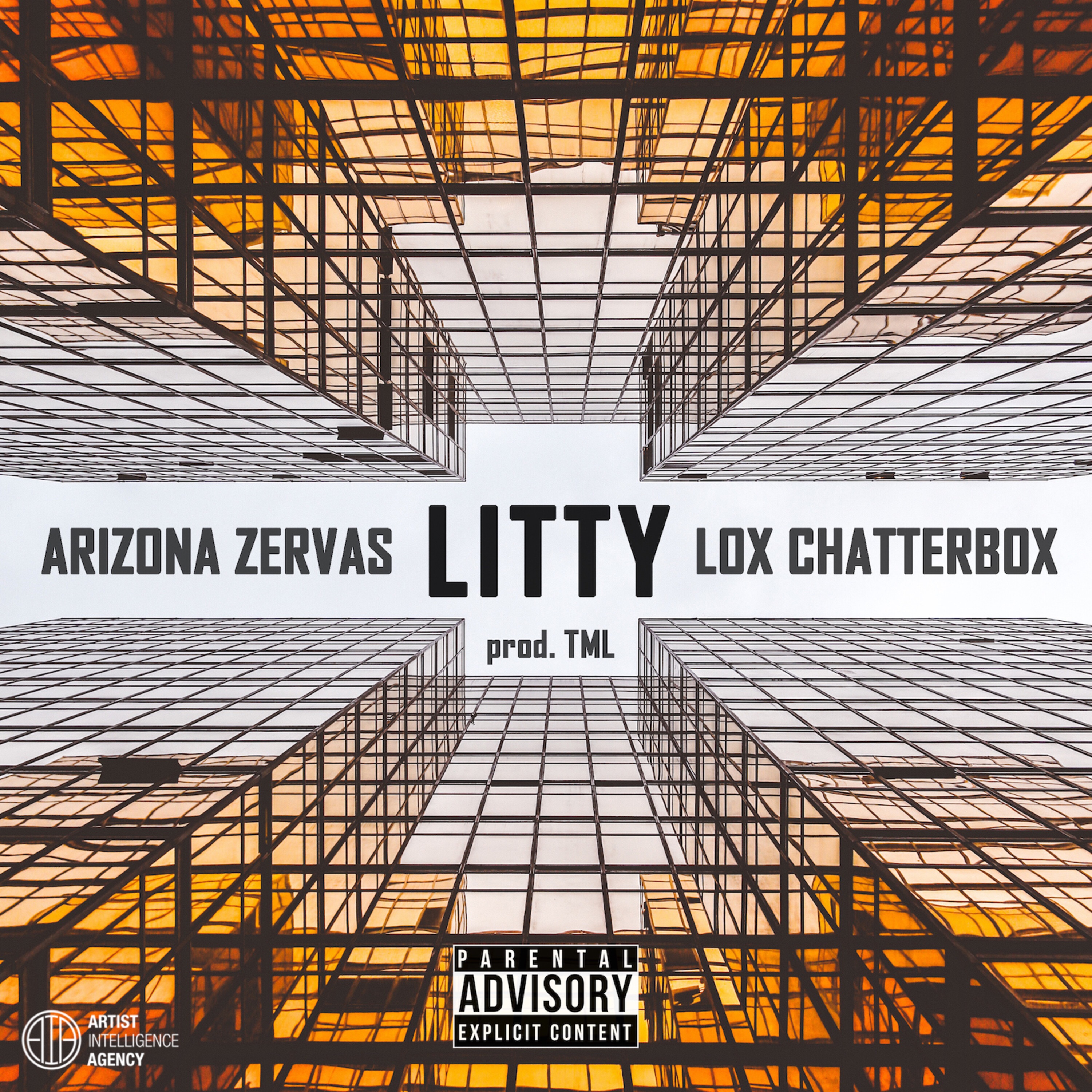 Litty (Tml Vip Remix) - Single album cover