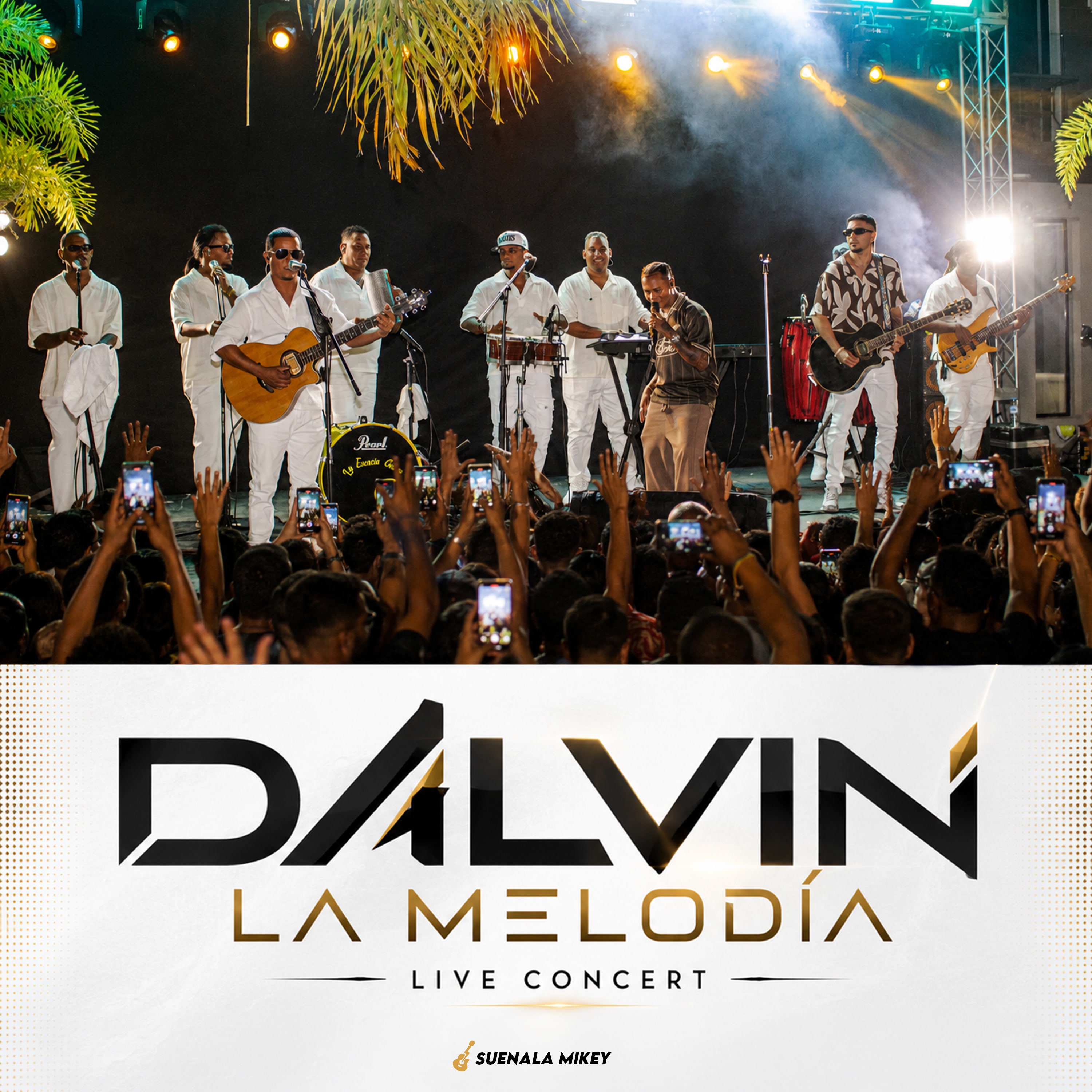 Live Concert album cover
