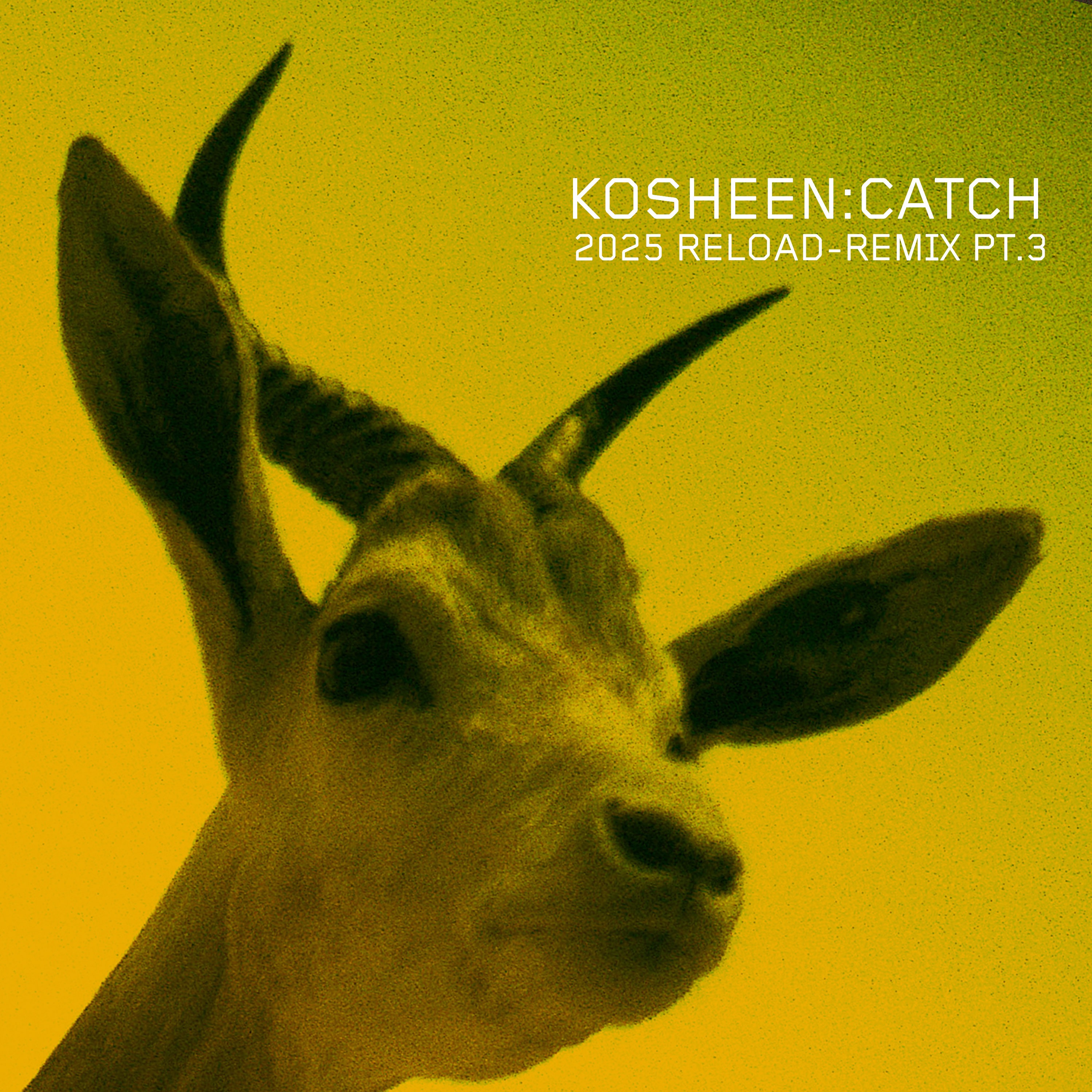 Catch (2025 Reload-Remix, Pt.3) - EP album cover