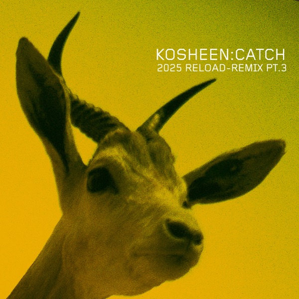 Catch (2025 Reload-Remix, Pt.3) - EP album cover