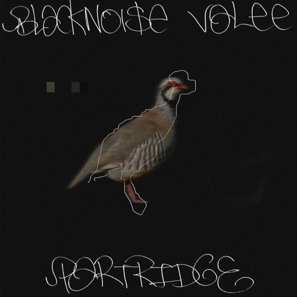 Partridge - EP album cover