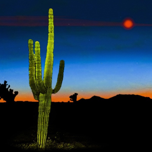 BLANK - Single album cover