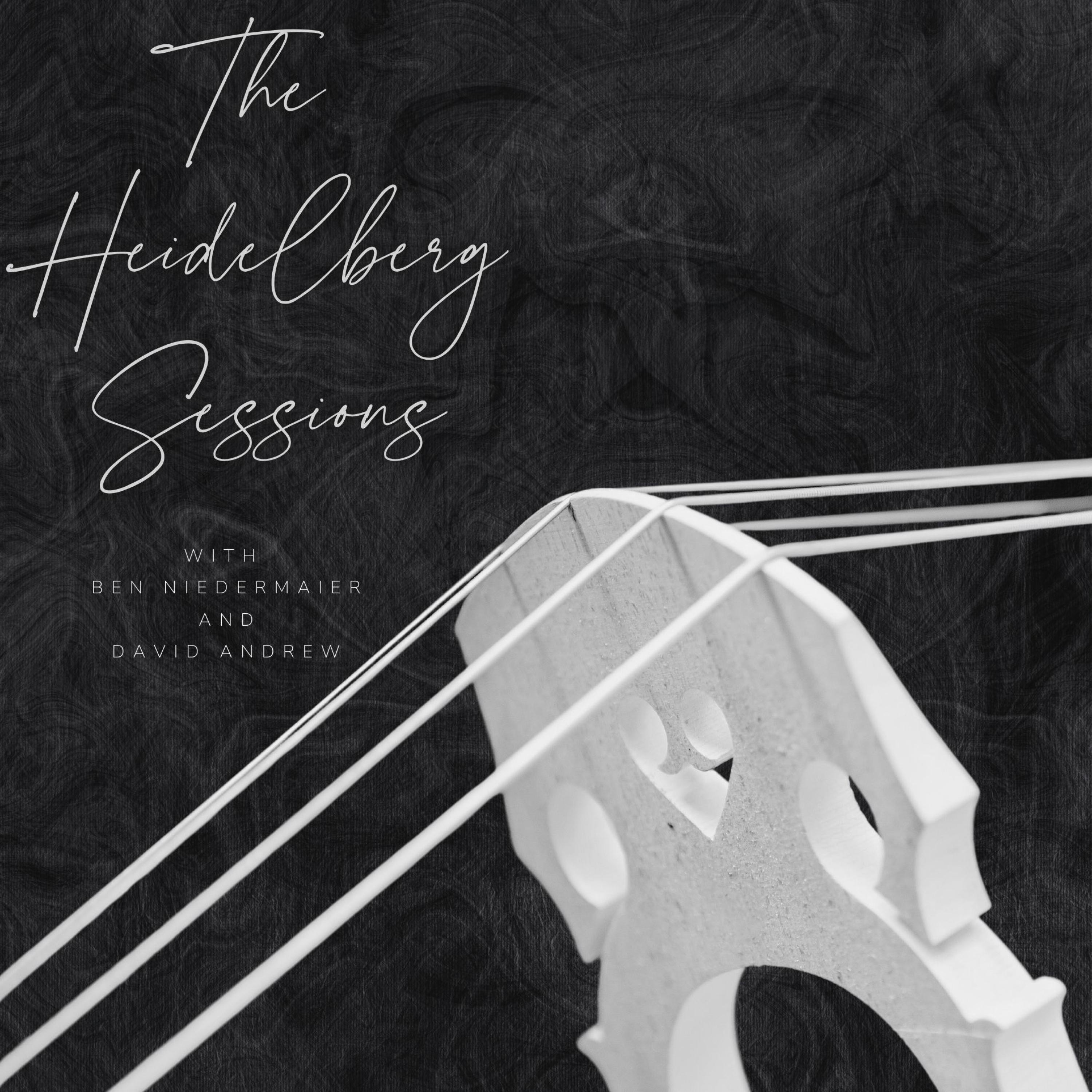 Anti-Hero (Piano and Cello Version) - Single album cover