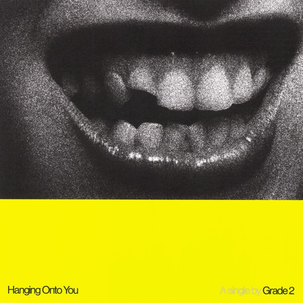 Hanging onto You - Single album cover