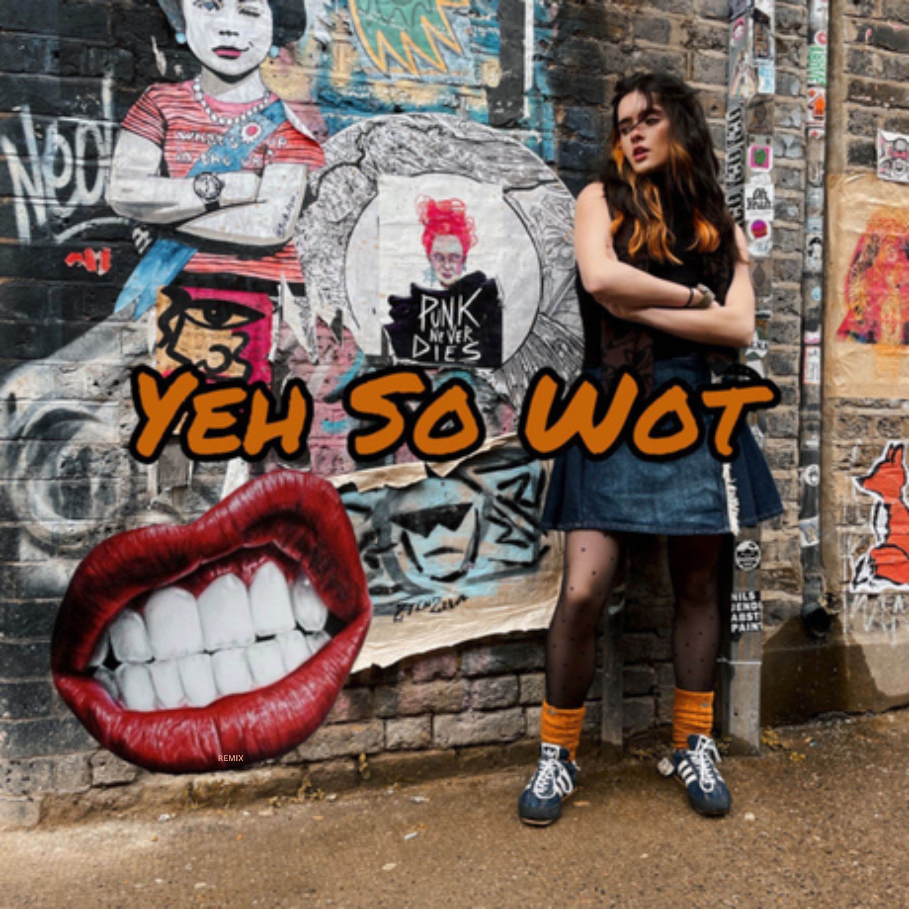 Yeh So Wot - Single album cover