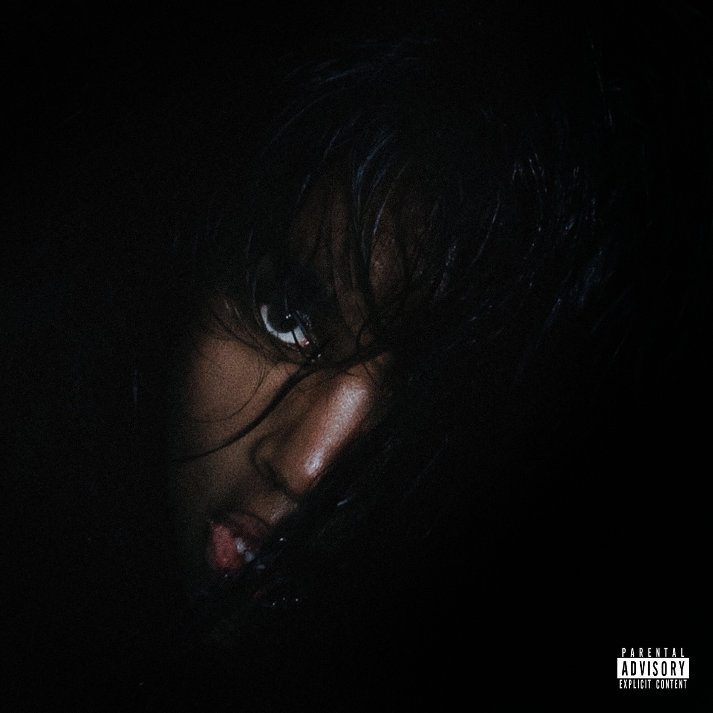 BITCH YOU COULD NEVER - Single album cover