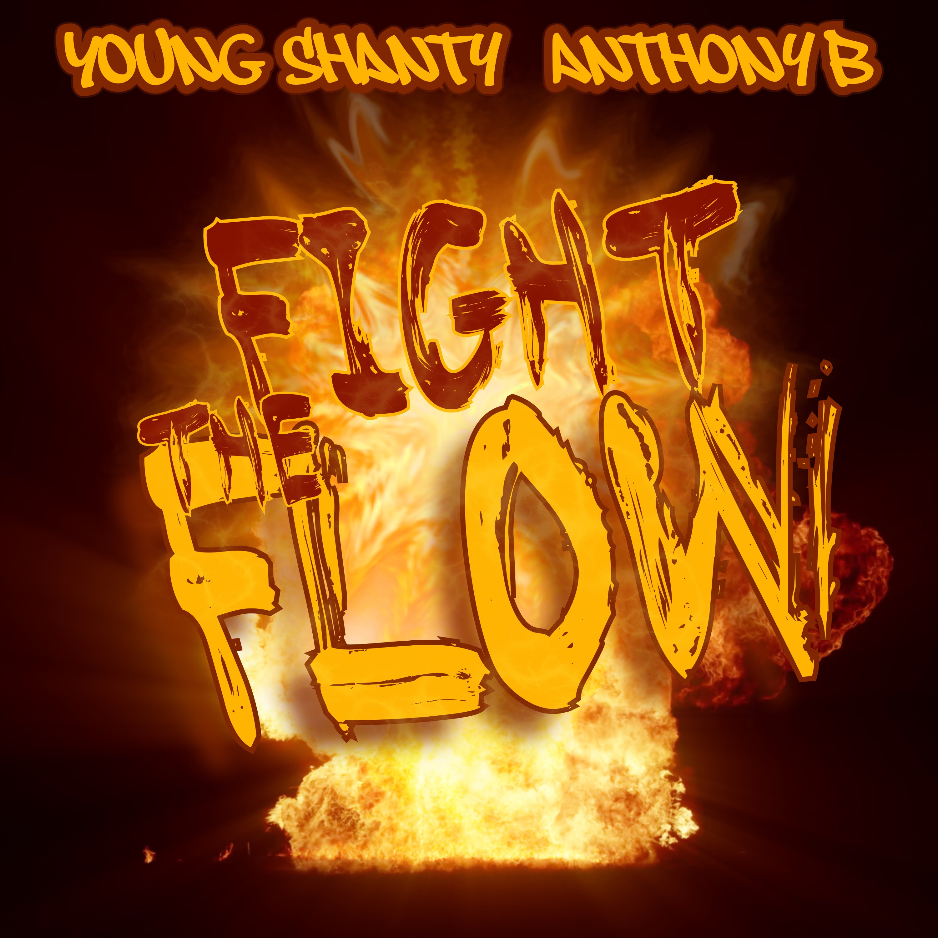 Fight the Flow - Single album cover