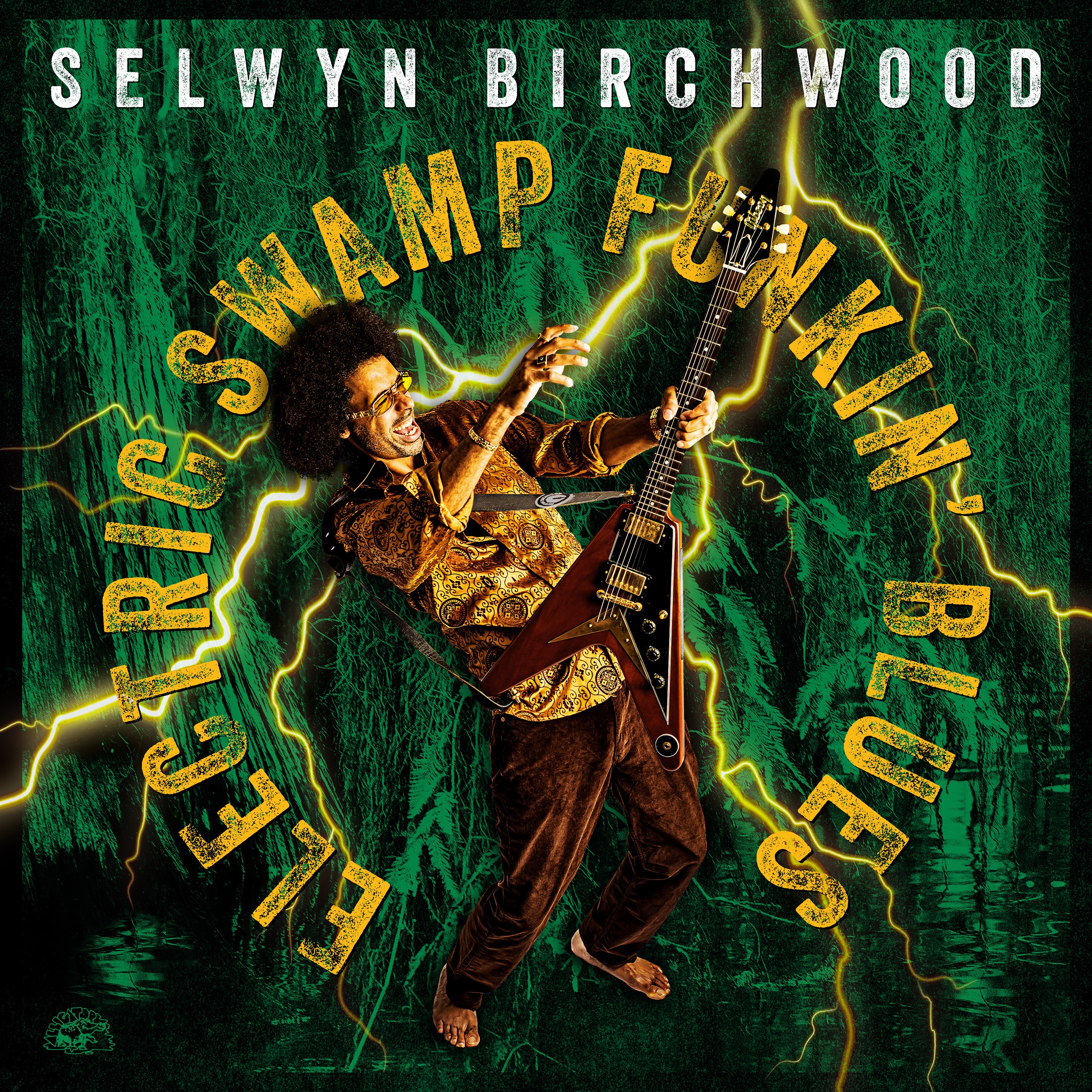 Electric Swamp Funkin' Blues album cover
