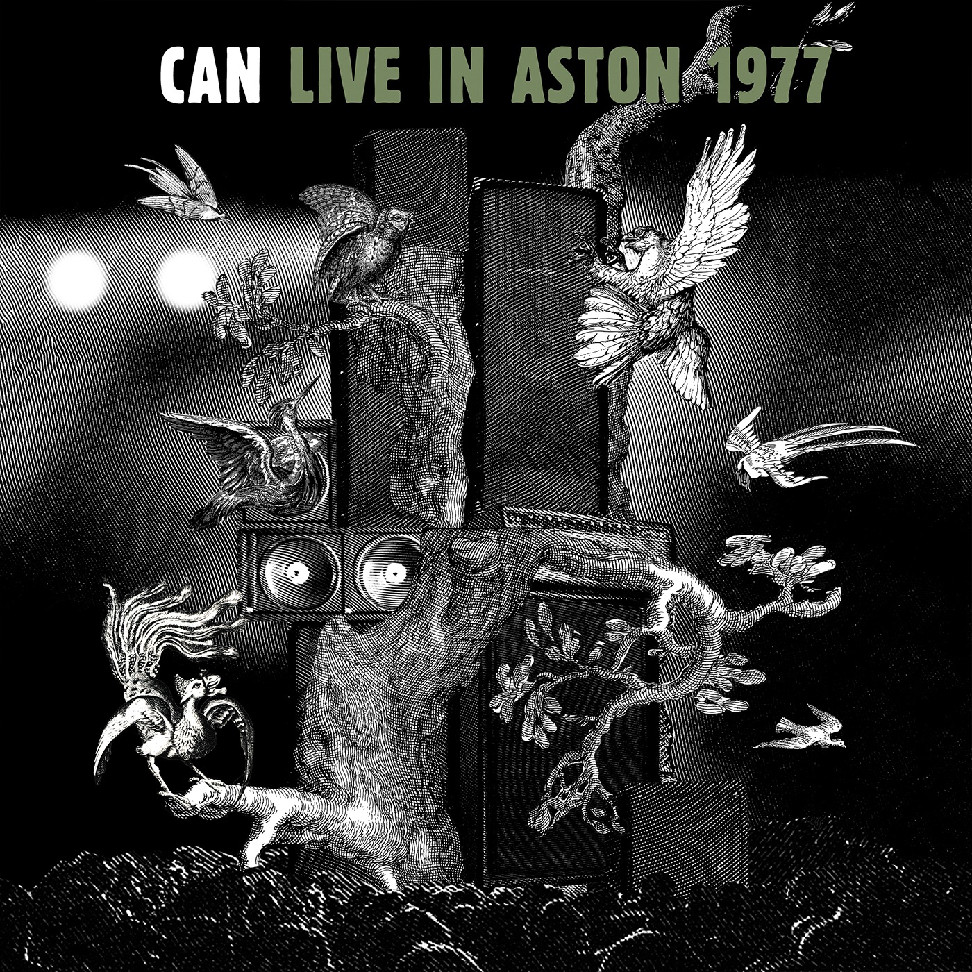 LIVE IN ASTON 1977 album cover