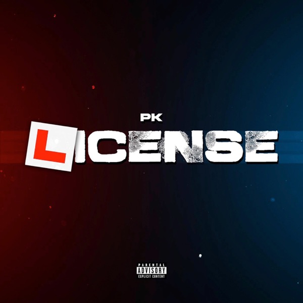 License - Single album cover