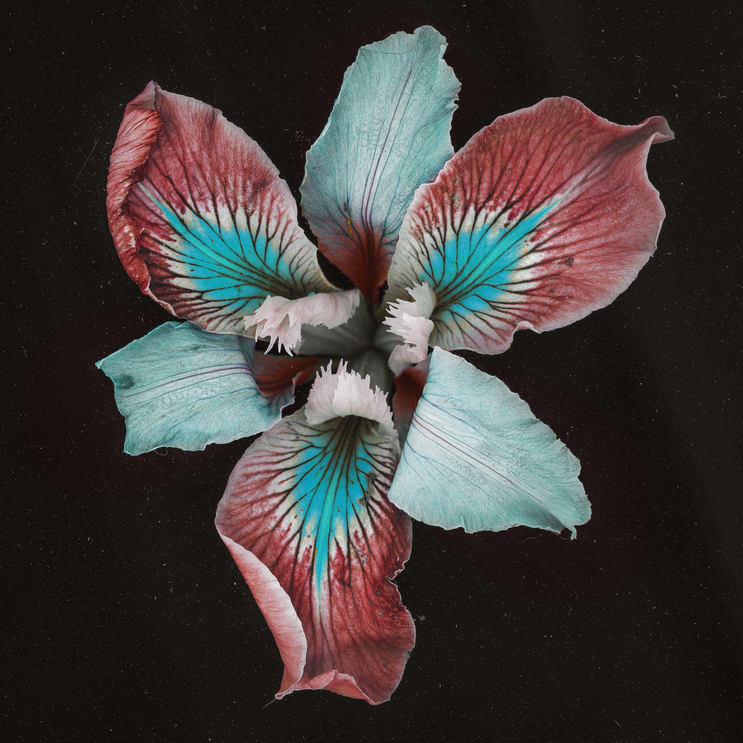 Oasis Sky (Remixes) album cover