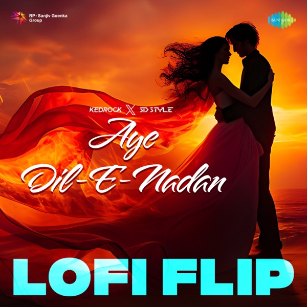 Aye Dil-E-Nadan (LoFi Flip) - Single album cover