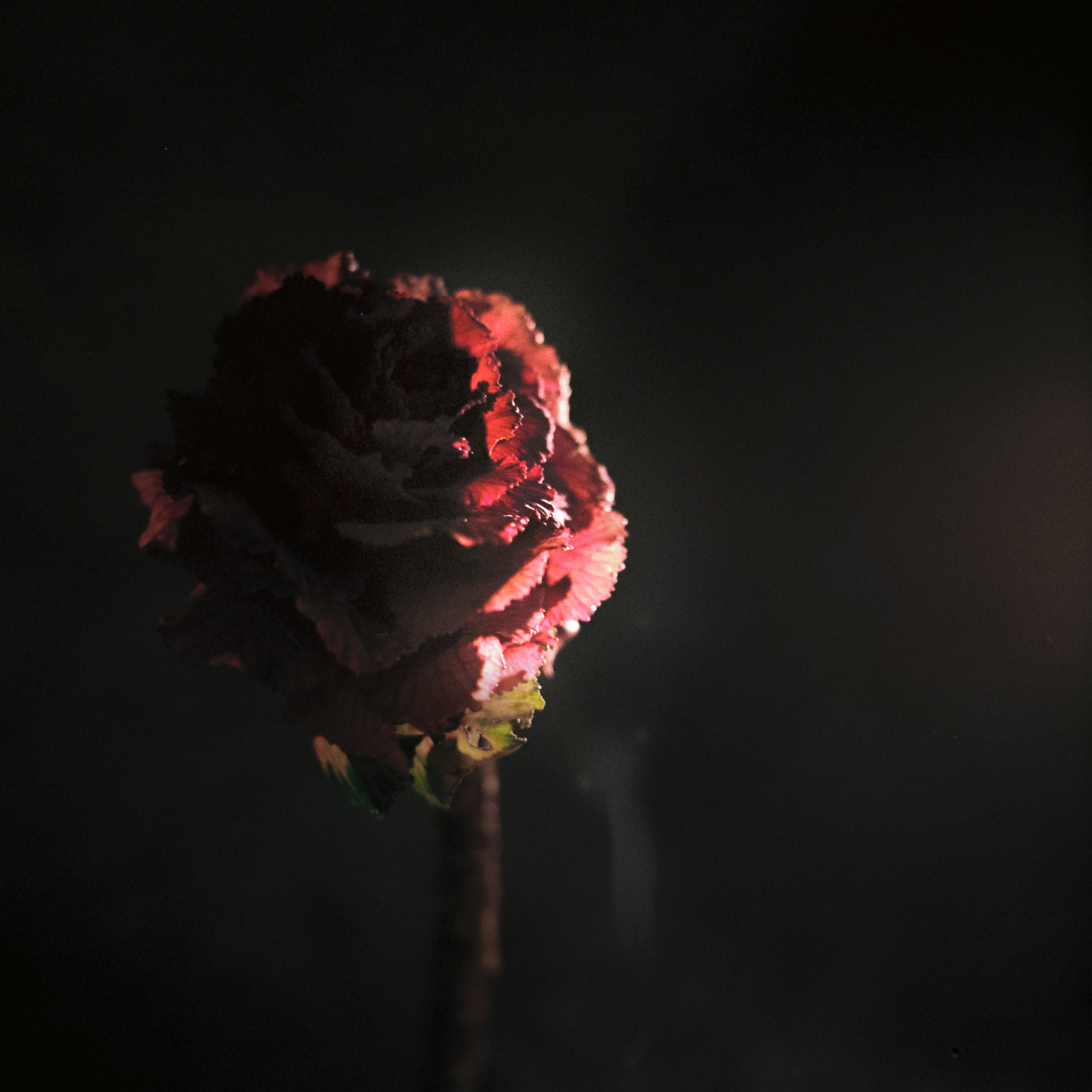 Si Entras Tú - Single album cover