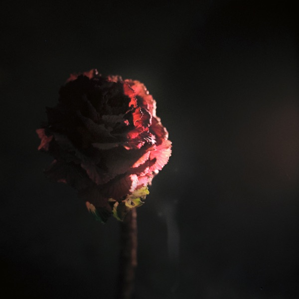 Si Entras Tú - Single album cover