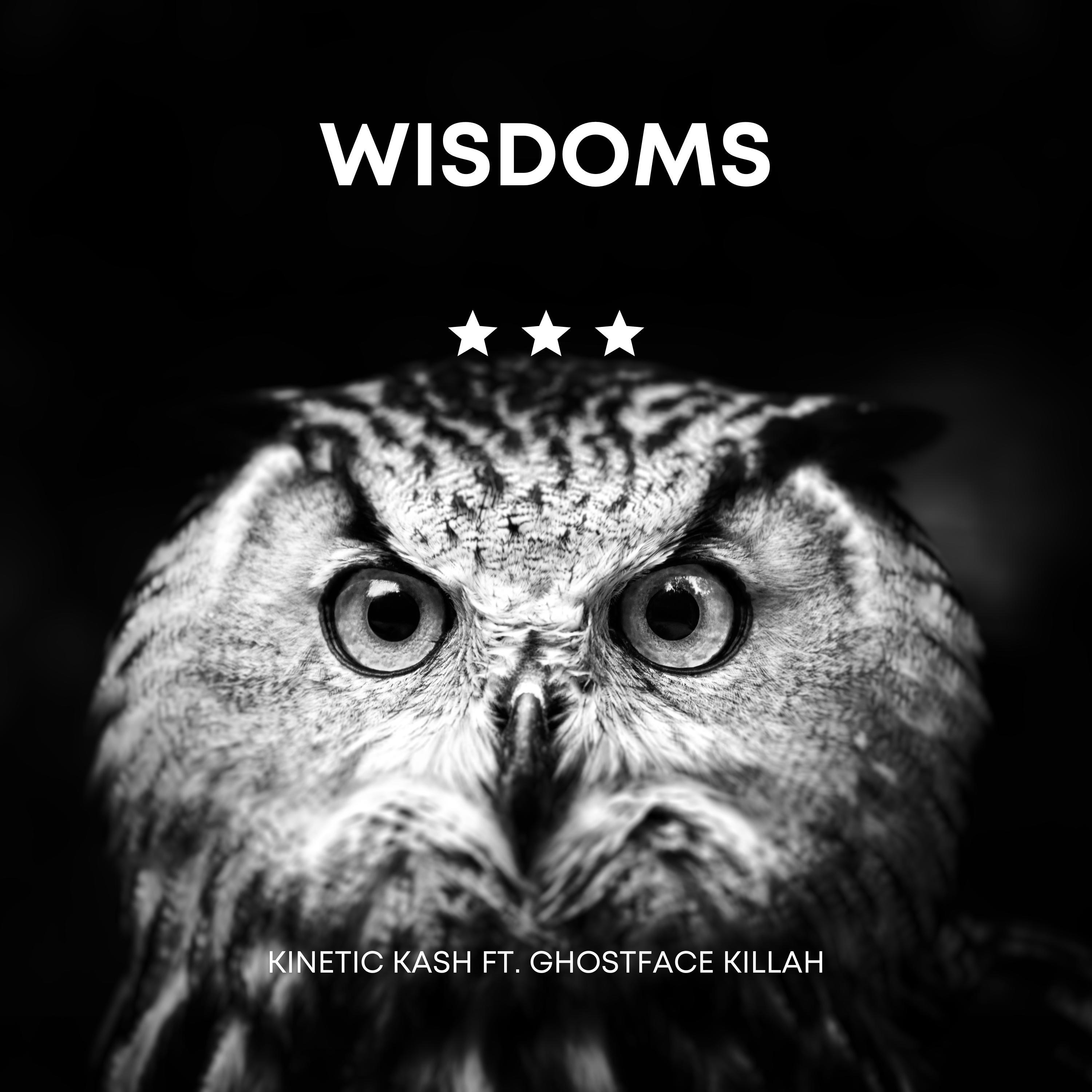 Wisdoms (feat. Ghostface Killah) - Single album cover