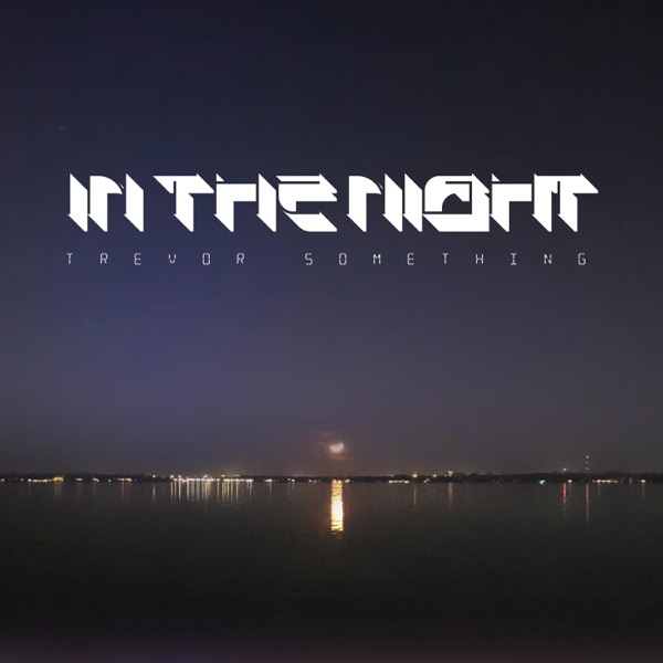 In The Night - Single album cover