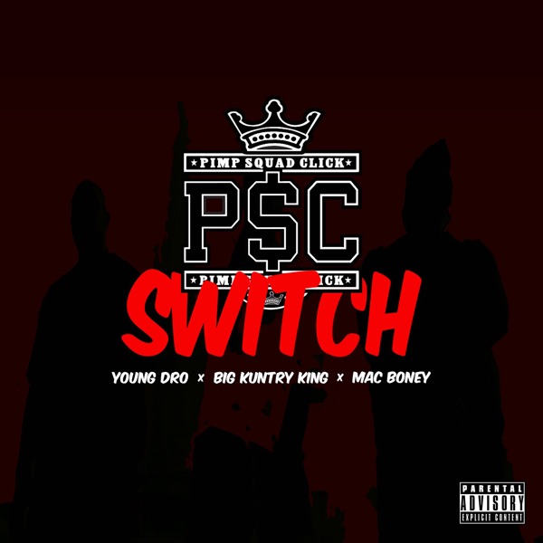 Switch - Single album cover
