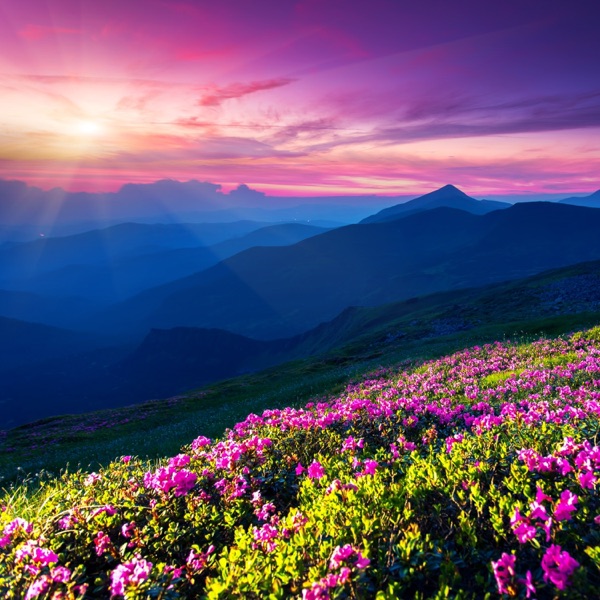 丘の上に佇む夢見る森のカフェピアノ album cover