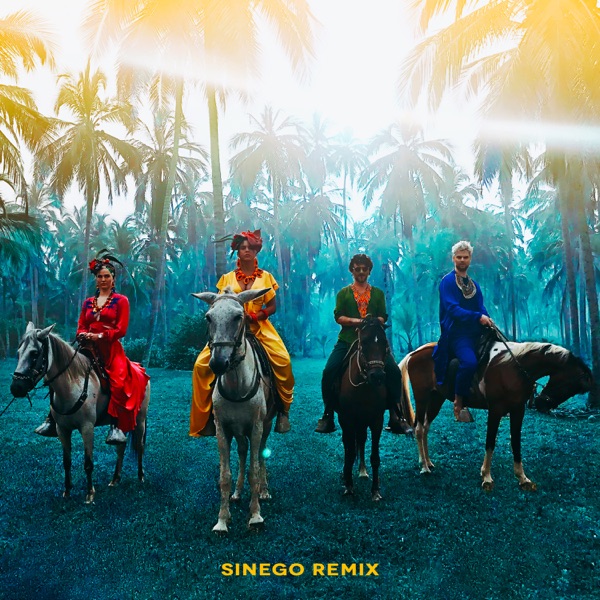 Playa Grande (Sinego Remix) - Single album cover