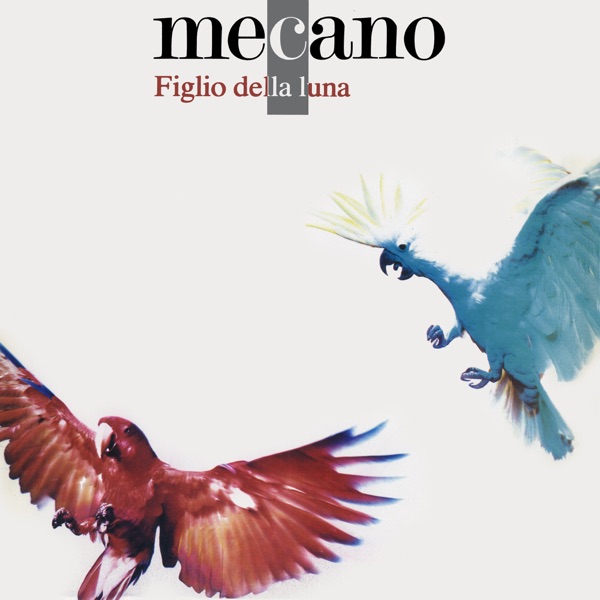 Figlio della luna album cover
