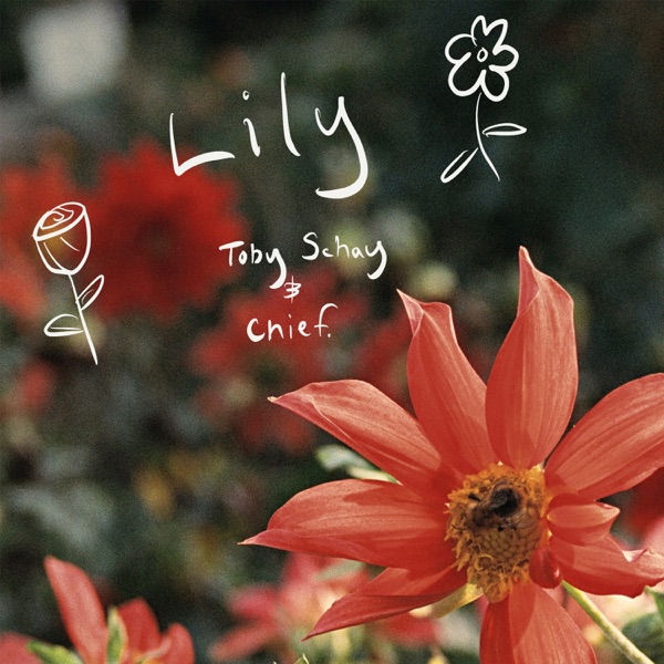 Lily - Single album cover