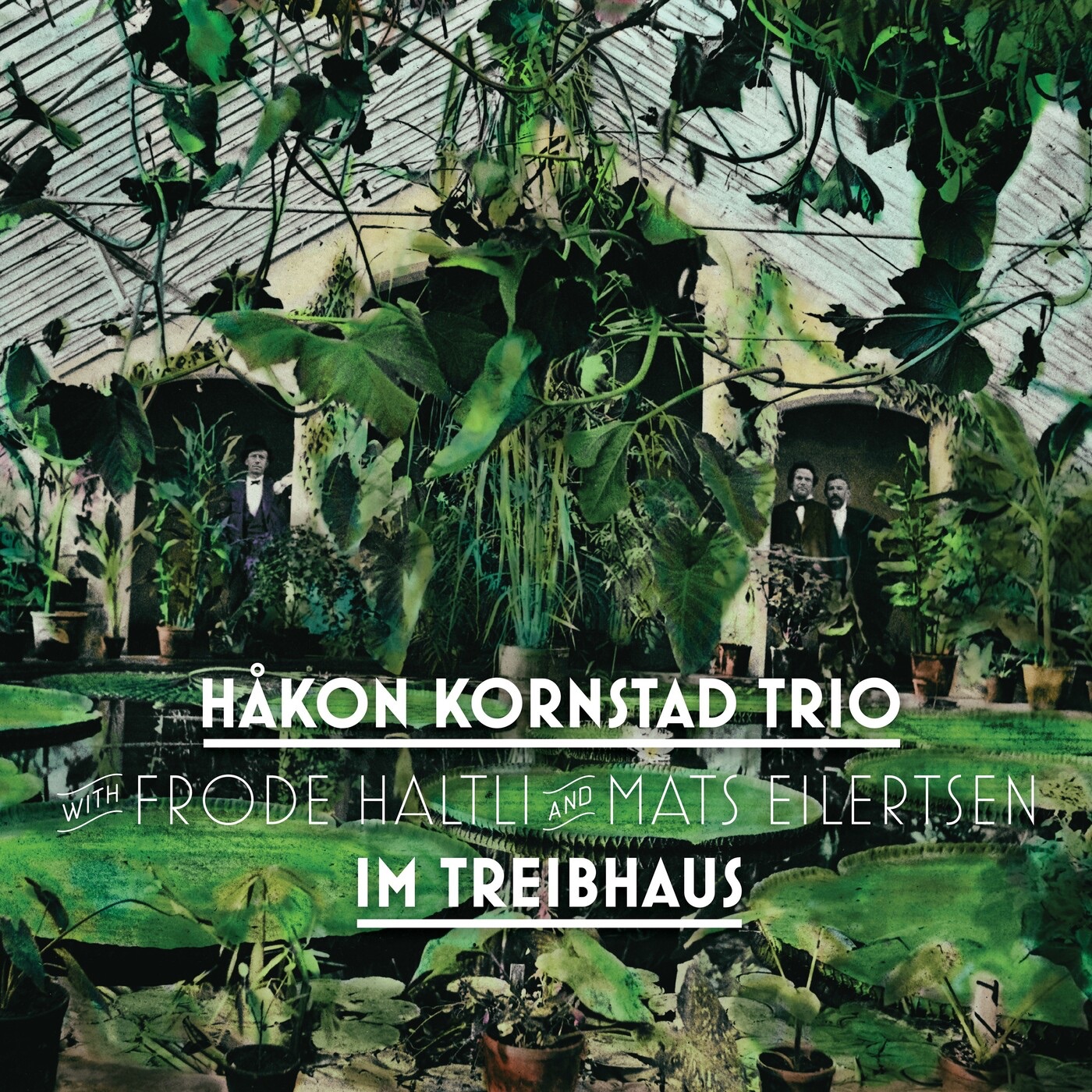 Im Treibhaus (feat. Frode Haltli, Håkon Kornstad Trio & Mats Eilertsen) album cover