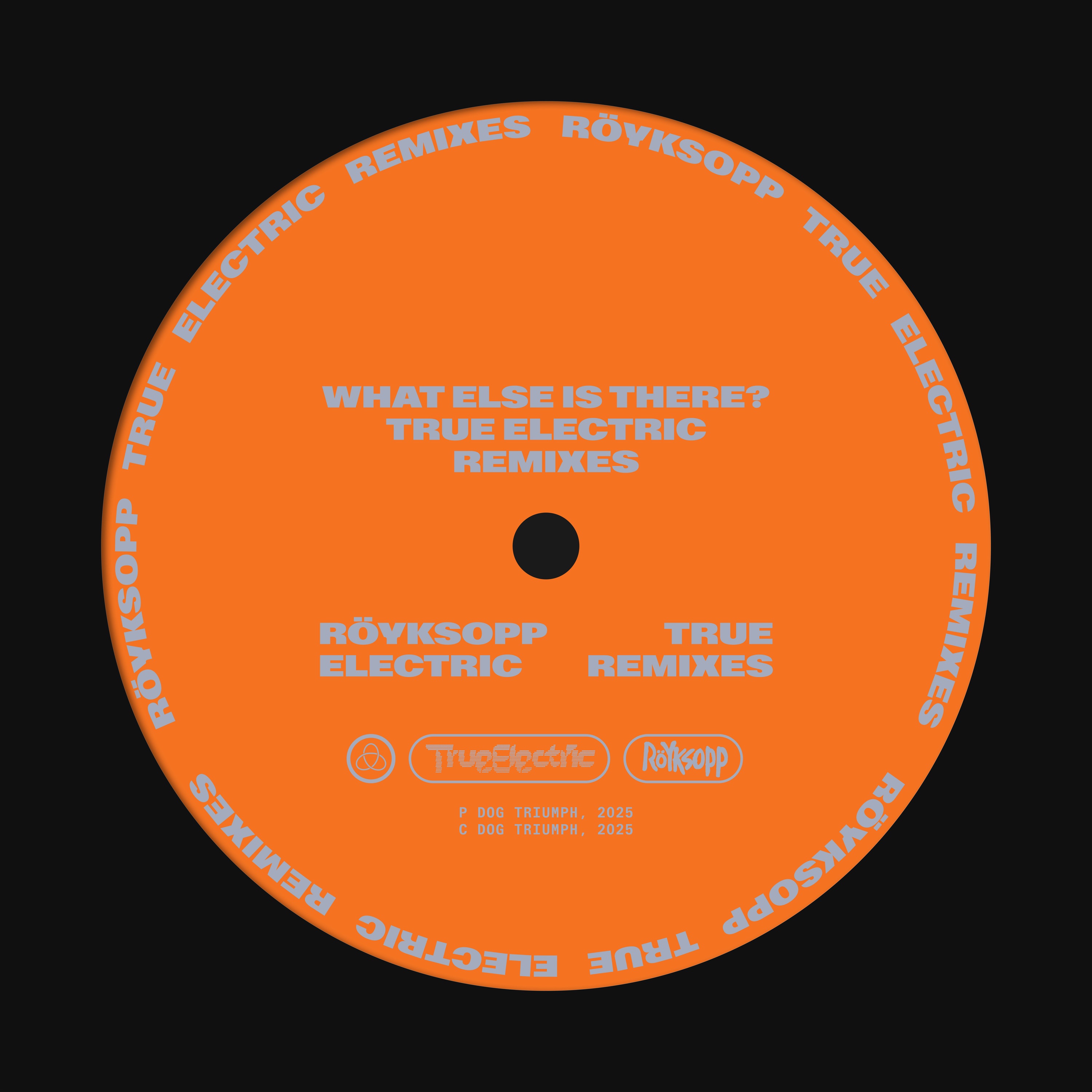 What Else Is There? (True Electric Remixes) - Single album cover