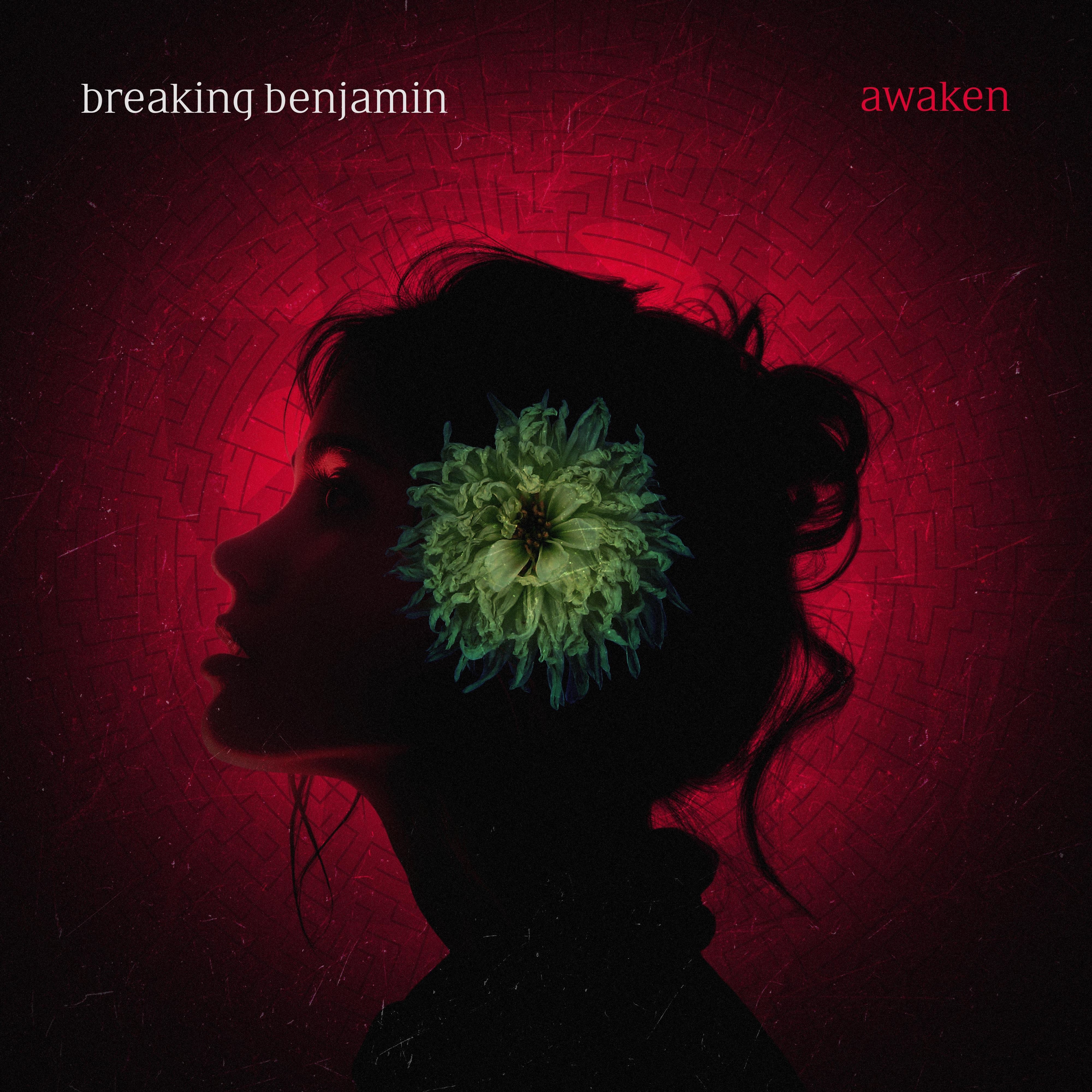 Awaken - Single album cover