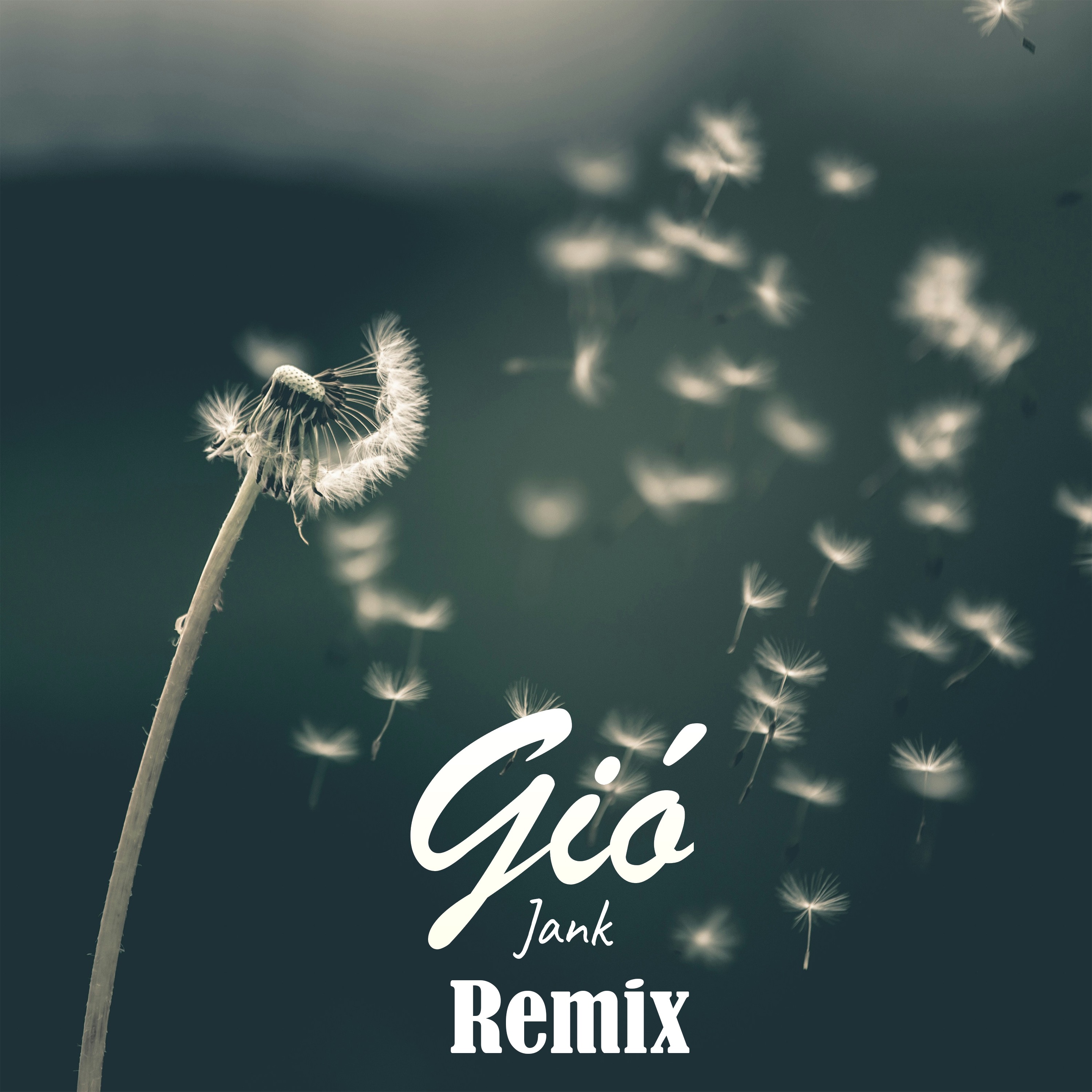 Gió (SS Remix) - Single album cover