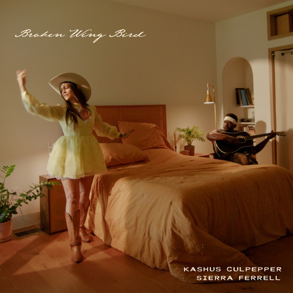 Broken Wing Bird - Single album cover