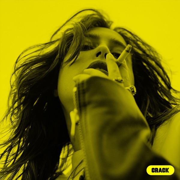 Crack Mix (DJ Mix) album cover