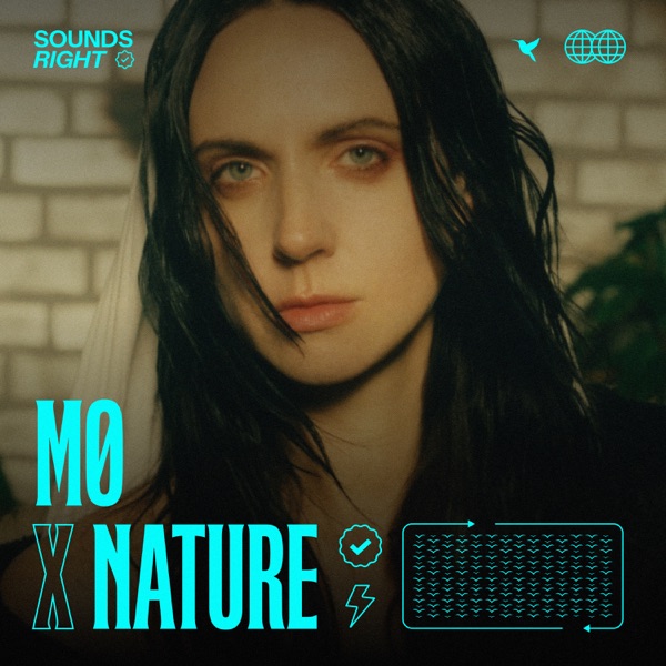 Pilgrim - VIP Remix - Single album cover