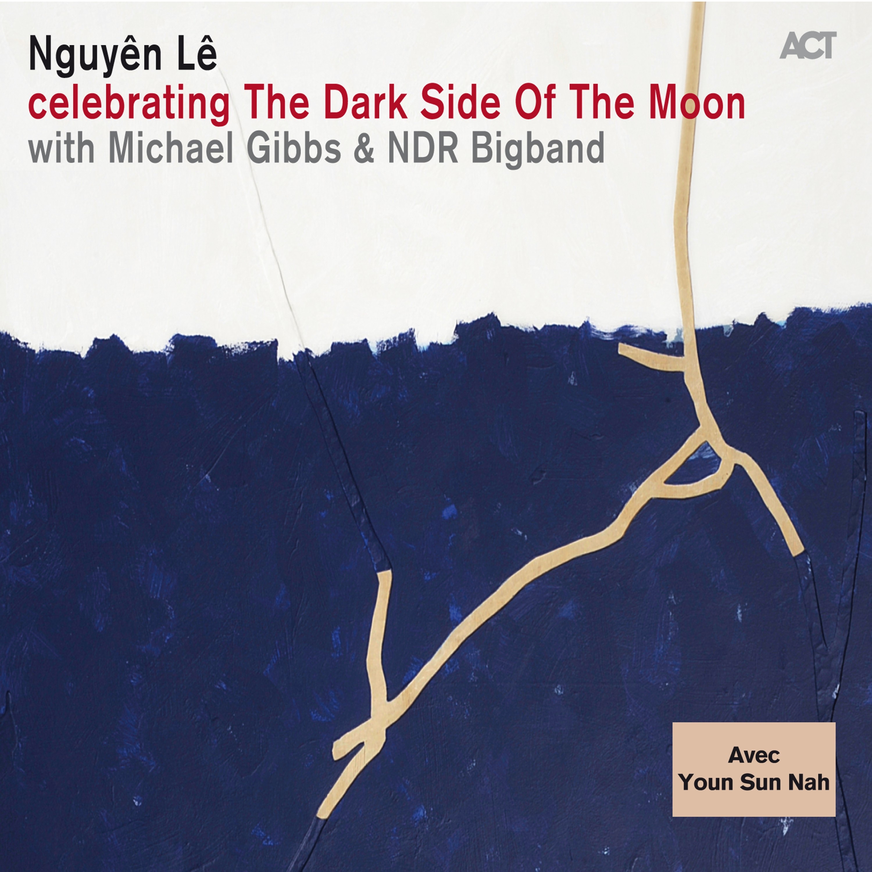 Celebrating the Dark Side of the Moon (with NDR Bigband & Michael Gibbs) [feat. Youn Sun Nah] album cover