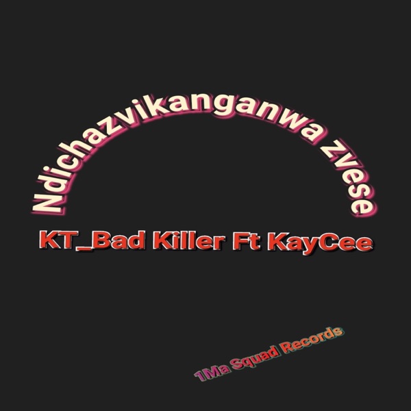 Ndichazvikanganwa zvese - Single album cover