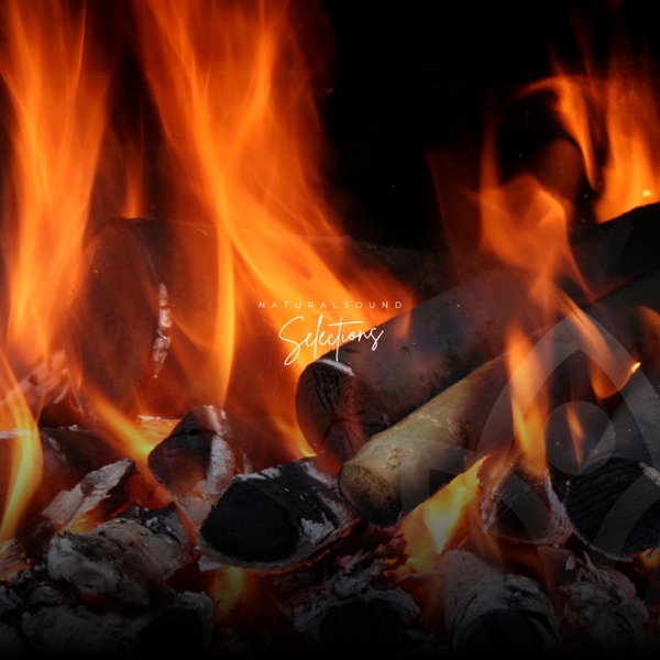 Cozy Fireplace Ambience for Relaxation and Focus - EP album cover