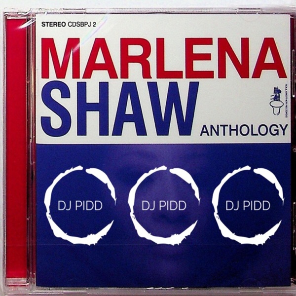 Touch Me In The Morning (DJPidd Remix) (feat. Marlena Shaw) - Single album cover