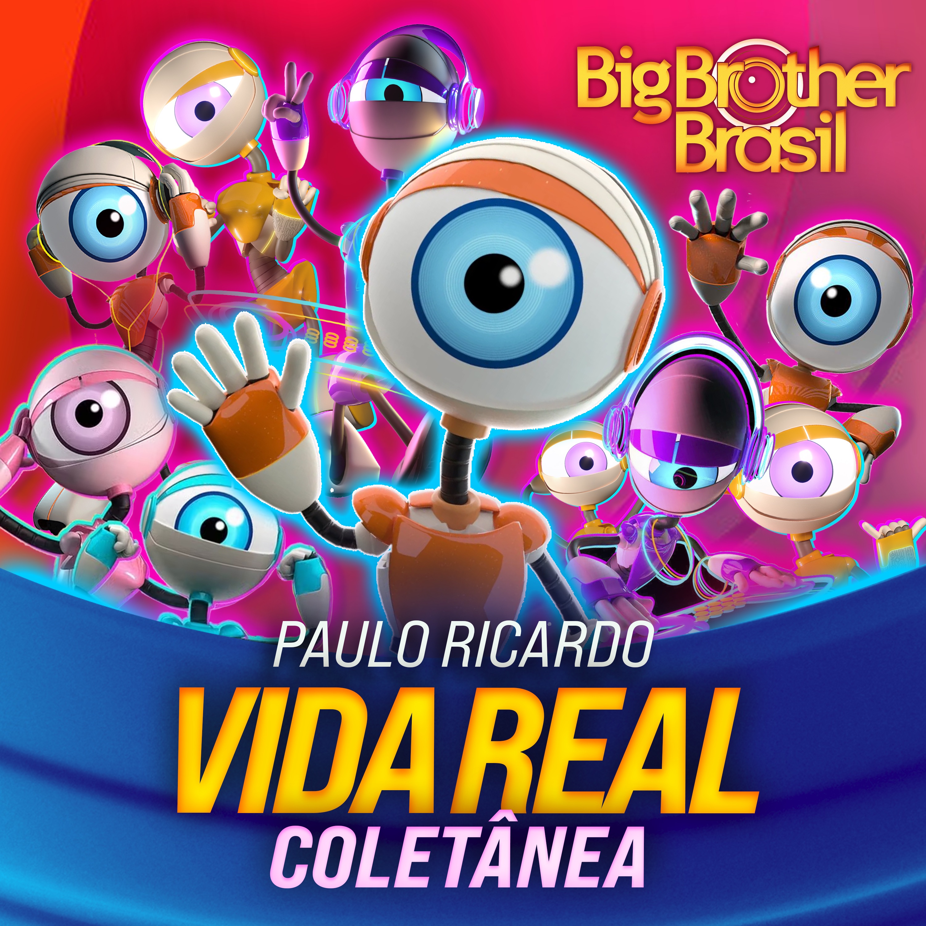 Vida Real  Coletânea album cover