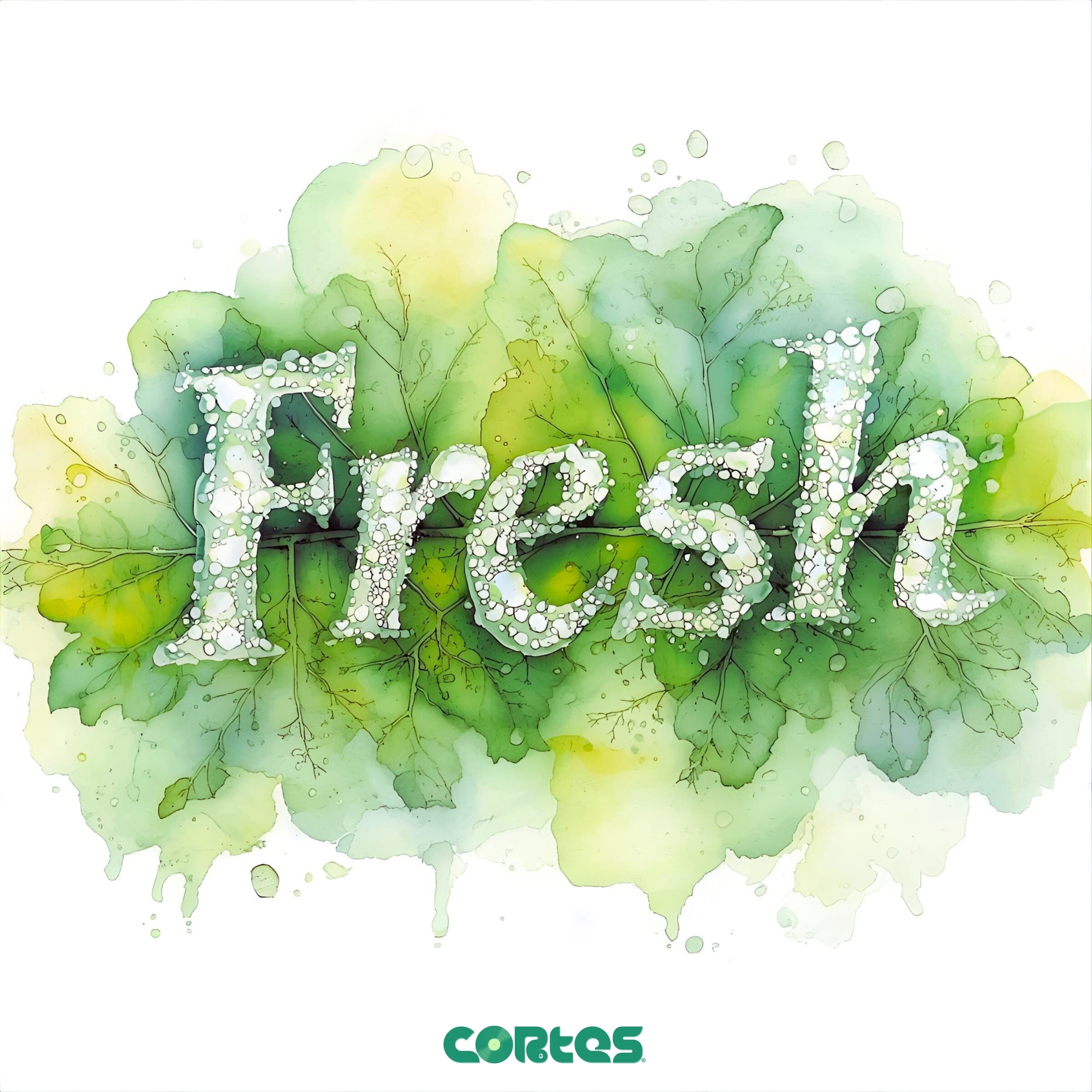 Fresh - Single album cover
