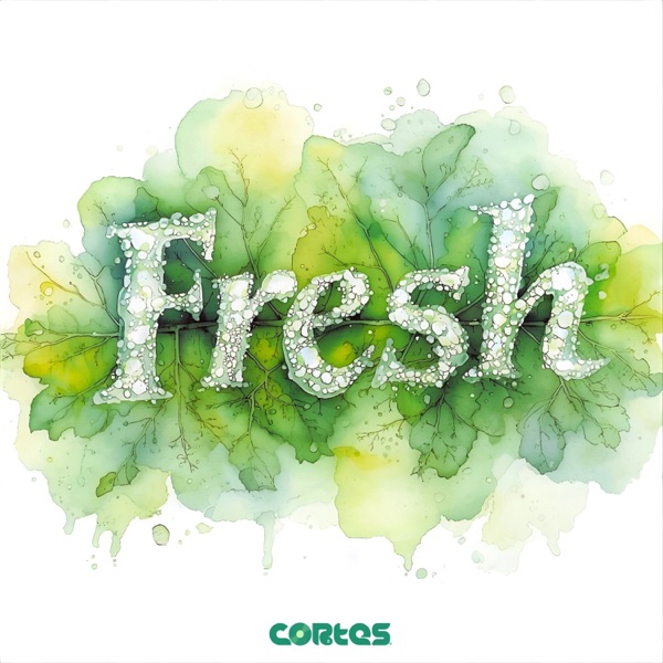Fresh - Single album cover