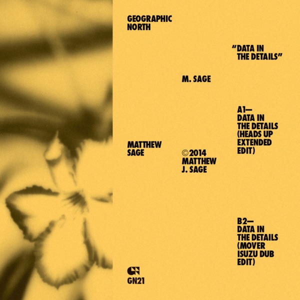 Data in the Details album cover
