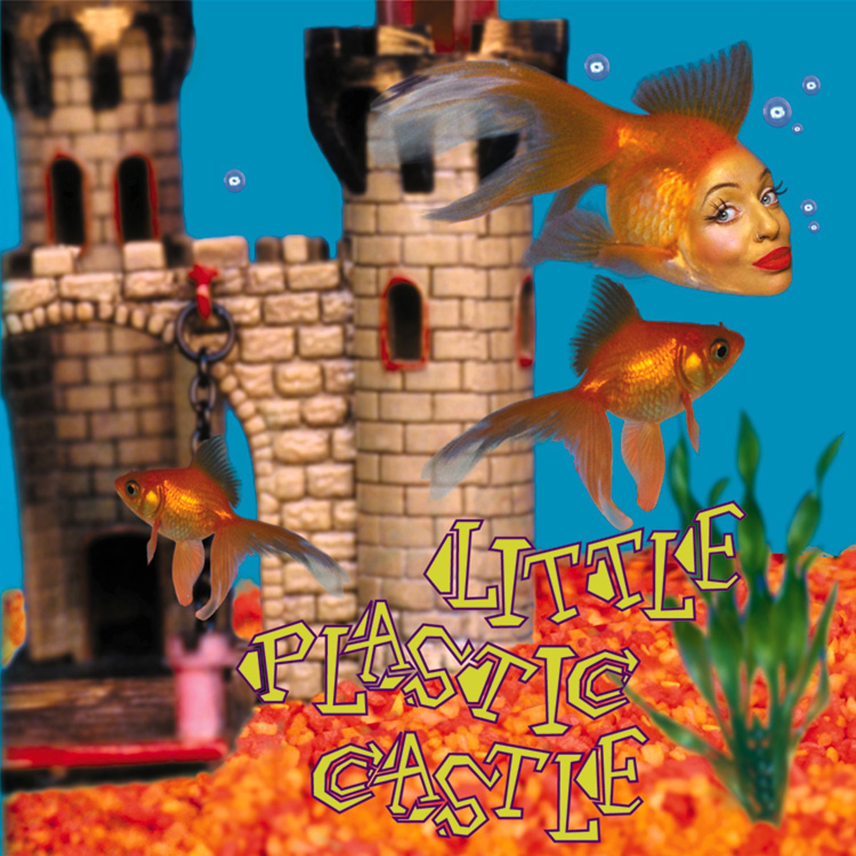 Little Plastic Castle album cover