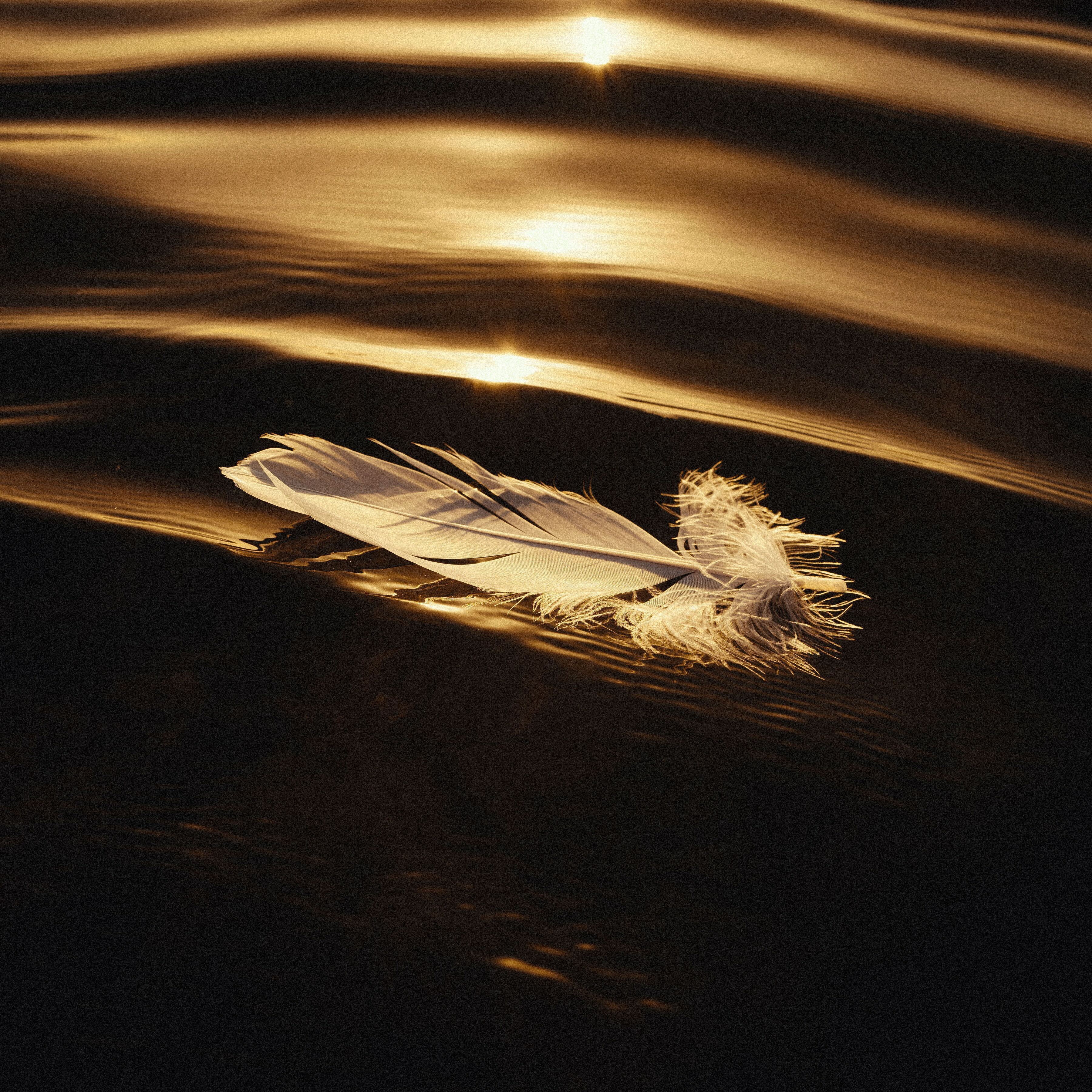 Icarus & I album cover