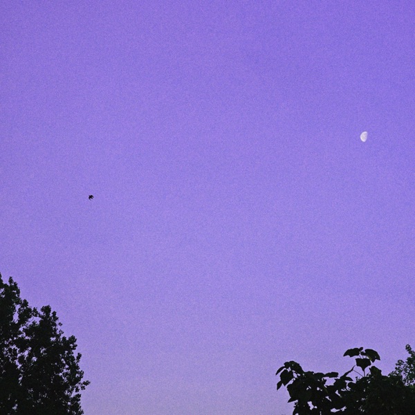 lilac - Single album cover