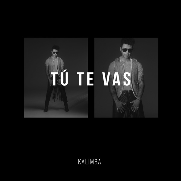 Tú Te Vas - Single album cover