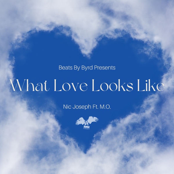 What Love Looks Like (feat. M.O) - Single album cover