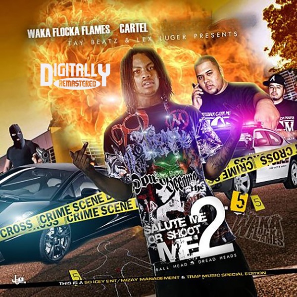 Salute Me or Shoot Me 2.5 album cover