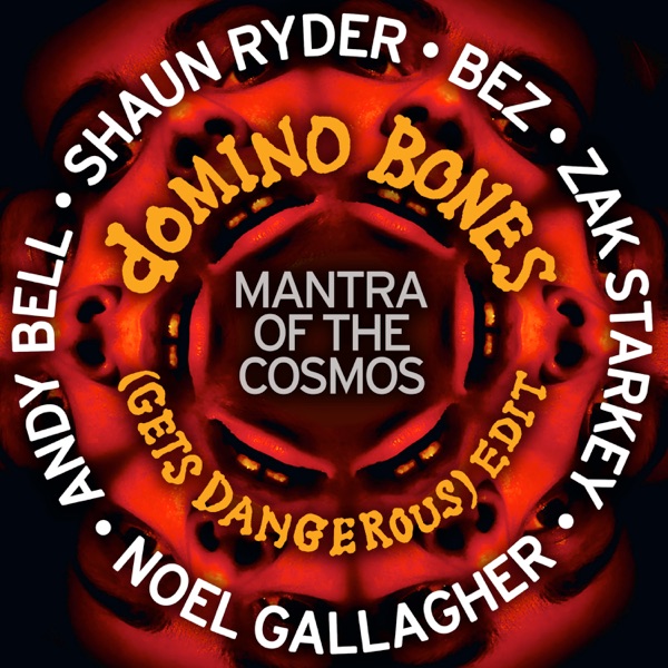 Domino Bones (Gets Dangerous) [feat. Zak Starkey, Andy Bell, Shaun Ryder, B.E.Z & Noel Gallagher's H album cover