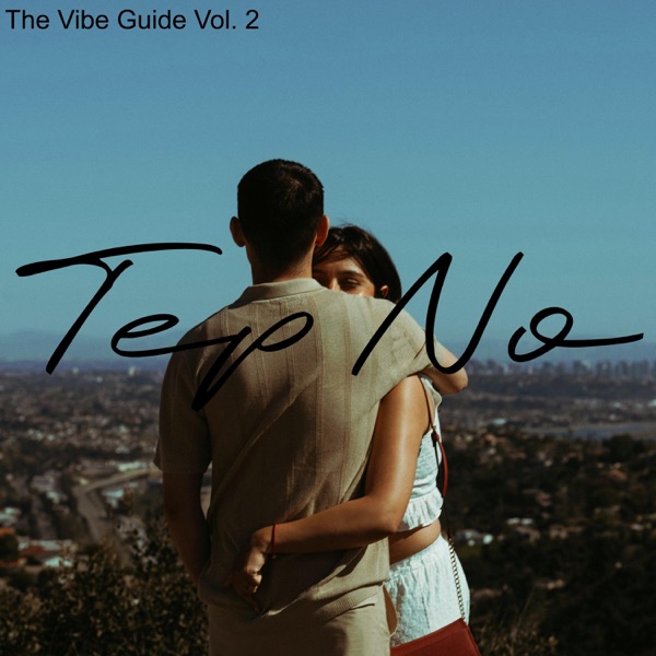 The Vibe Guide, Vol. 2 album cover